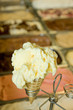 gelateria italiana