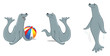 seal poses