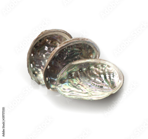 Photo: Mother of pearl isolated on white background Mother of pearl isolated on white background