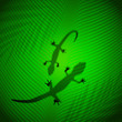 Lizard shadow on banana leaf in the tropical sun