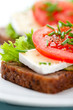 Sandwiches with Camembert and Tomato