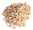 Photo: Pearl barley heap isolated on white Pearl barley heap isolated on white