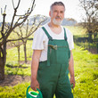 portrait of a senior gardener in his garden/orchard