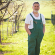 portrait of a senior gardener in his garden/orchard
