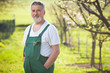 portrait of a senior gardener in his garden/orchard
