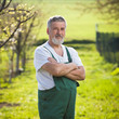 portrait of a senior gardener in his garden/orchard