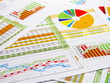 Report in Charts and Diagrams Report in Charts and Diagrams