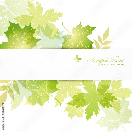 Vector: green leaves background green leaves background