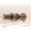 Galets zen et coquillage