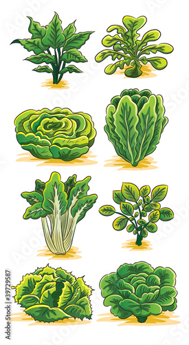 Vector: Green Vegetables Collection Green Vegetables Collection