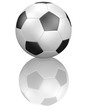soccer ball
