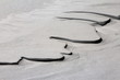 Lingue di neve