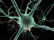 Neuron long-shot