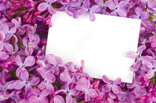 Photo: Lilac flowers with white card Lilac flowers with white card