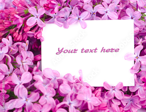 Photo: Lilac flowers with sample text Lilac flowers with sample text