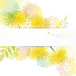dandelion background