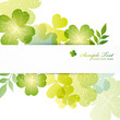 clover background