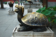 Bronze turtle
