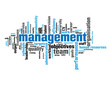 MANAGEMENT Tag Cloud (team staff manager quality administration)
