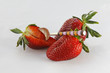 fraise à la cuillère