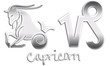 Capricorn Chrome Zodiac Signs