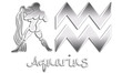 Aquarius Chrome Zodiac Signs