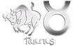 Taurus Chrome Zodiac Signs