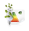 Lampe Eco et Performance énergétique