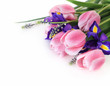 Beautiful fresh spring flowers Beautiful fresh spring flowers