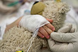 Photo: Kinderhand Kinderhand