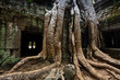 Tree roots envelop Ta Prohm temple Angkor Tree roots envelop Ta Prohm temple Angkor