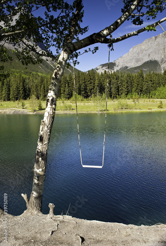 Photo: Tree Swing Tree Swing