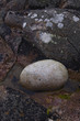 Photo: Porth Nanven in Cornwall Porth Nanven in Cornwall