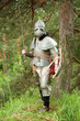 Knight in armour end of XV age