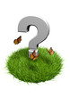 herbes questions
