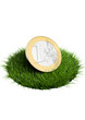 piece herbe