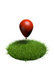 herbe ballon