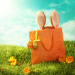 Easter present Easter present