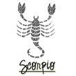 Scorpio Zebra Scorpion