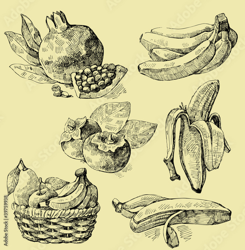 Vector: fruit set fruit set