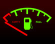 Fuel gauge