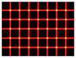 Color optical illusion