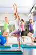 Fitness - Training und Workout im Fitnessstudio
