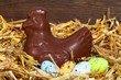 Chocolate hen sitting on easter eggs Chocolate hen sitting on easter eggs