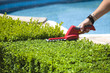 Hedge trimmer