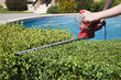 Hedge trimmer