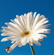 Frische und Reinheit, umweltfreundlich