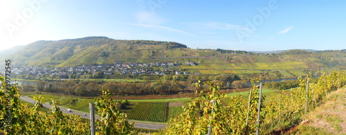 Foto: Panorama Reil an der Mosel Panorama Reil an der Mosel