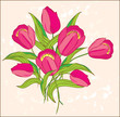 Pink tulips on pastel background Pink tulips on pastel background