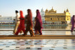 Sikh pilgrims